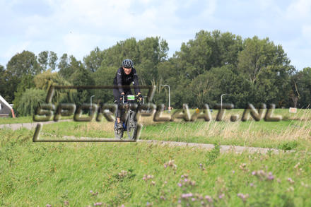 YZ12448.jpg